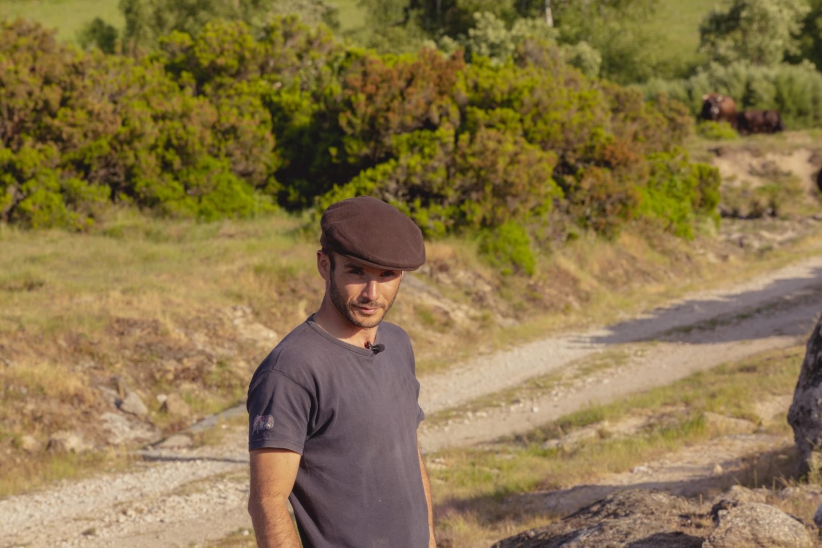 Avelino Rego